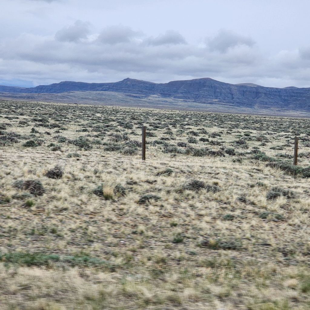 20250424_1643378159829996008439824