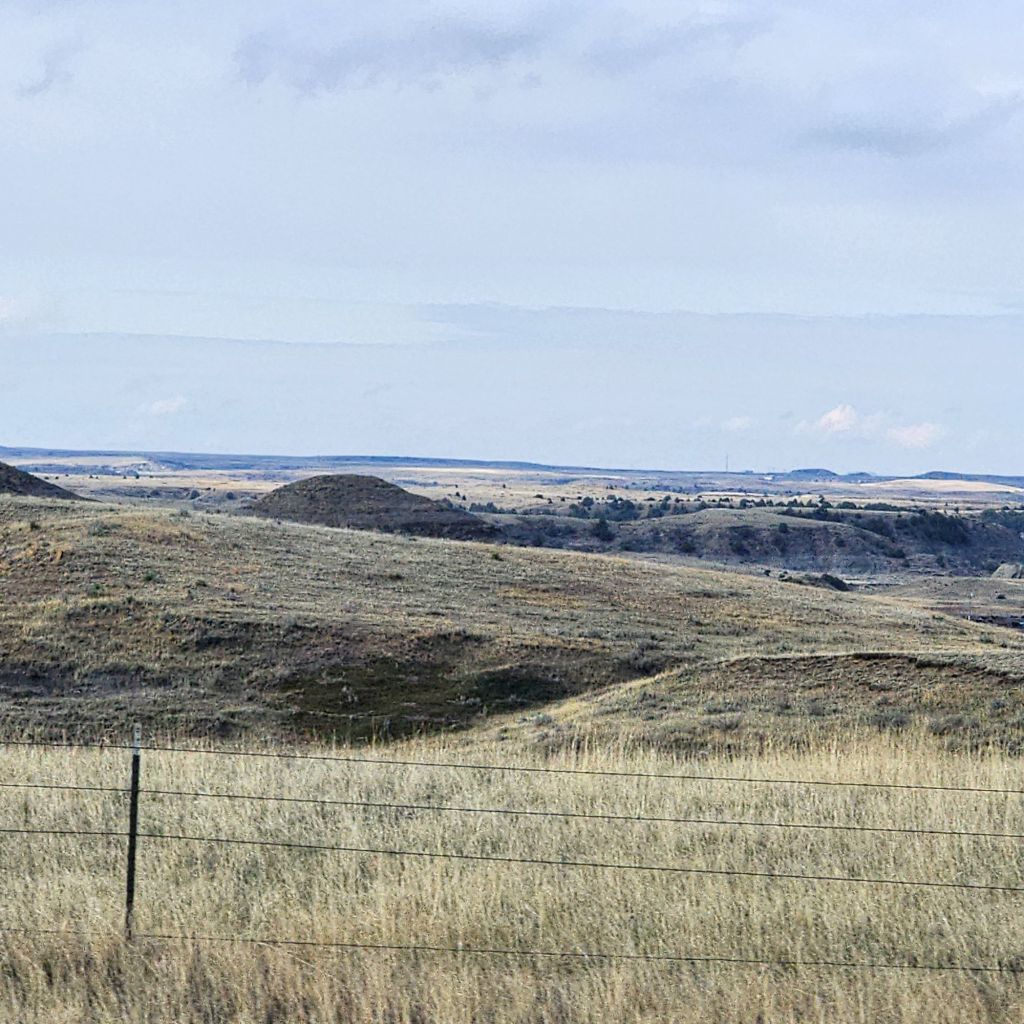 20250425_1009028755944435450585179