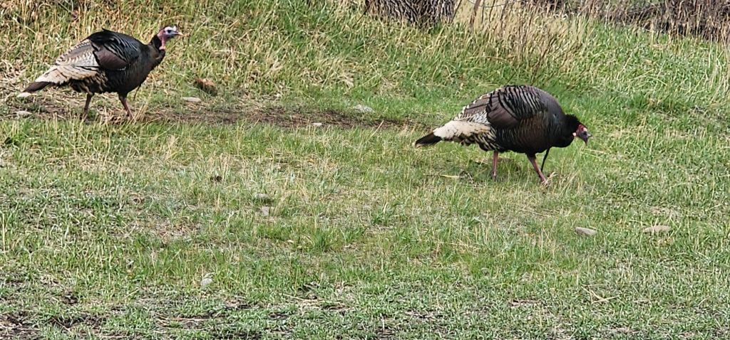 20250425_1614036692733045874370148