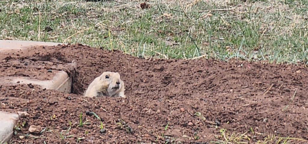 20250425_1618154743242872308131075