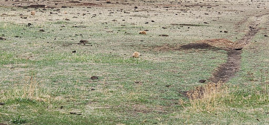 20250425_1618506158792632226025876