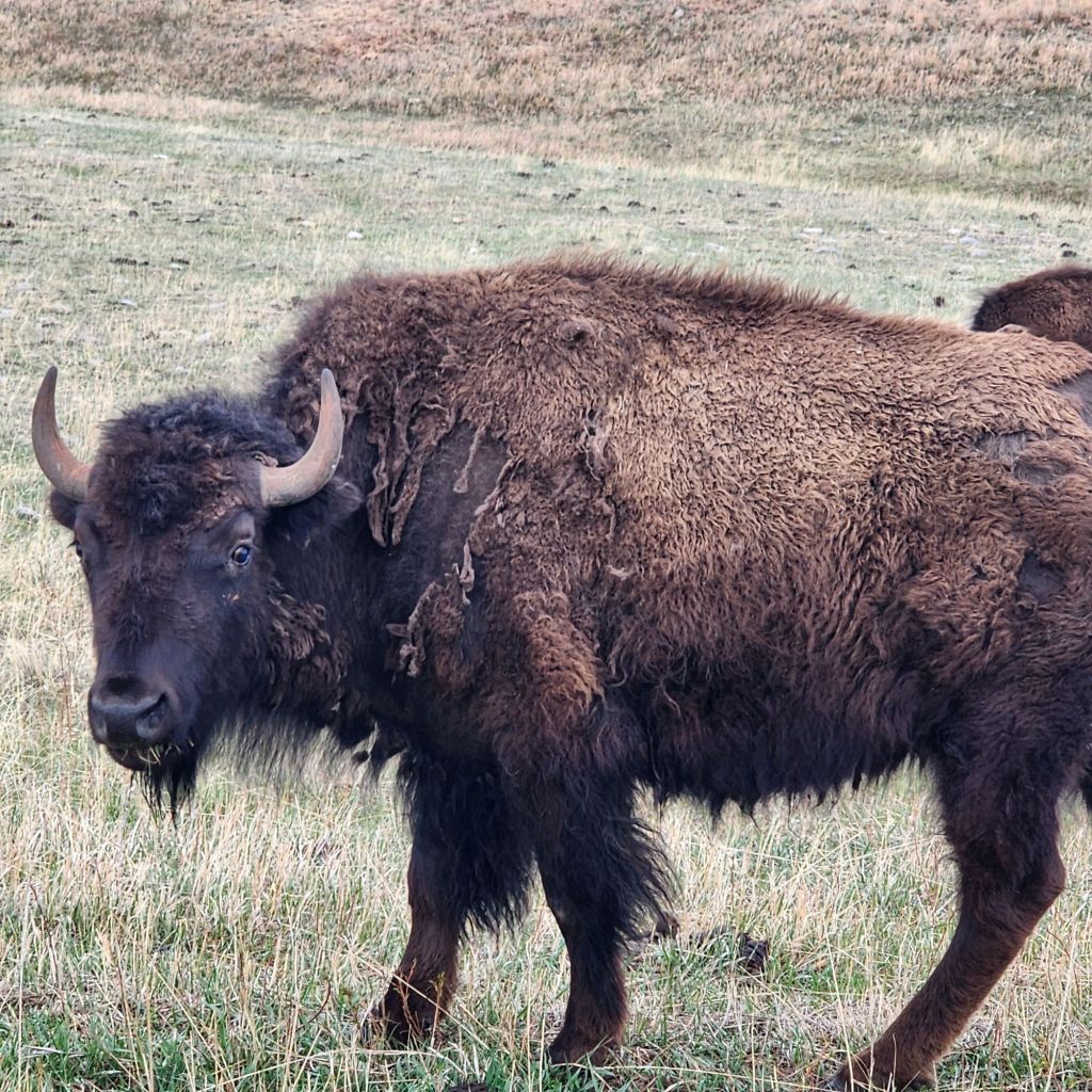 20250425_1701306530063300520502682