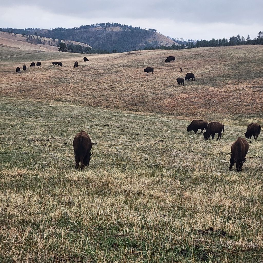 20250425_1702071366687349755378134