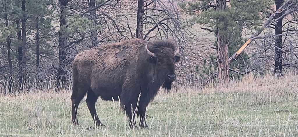 20250425_1705308260242109206163208