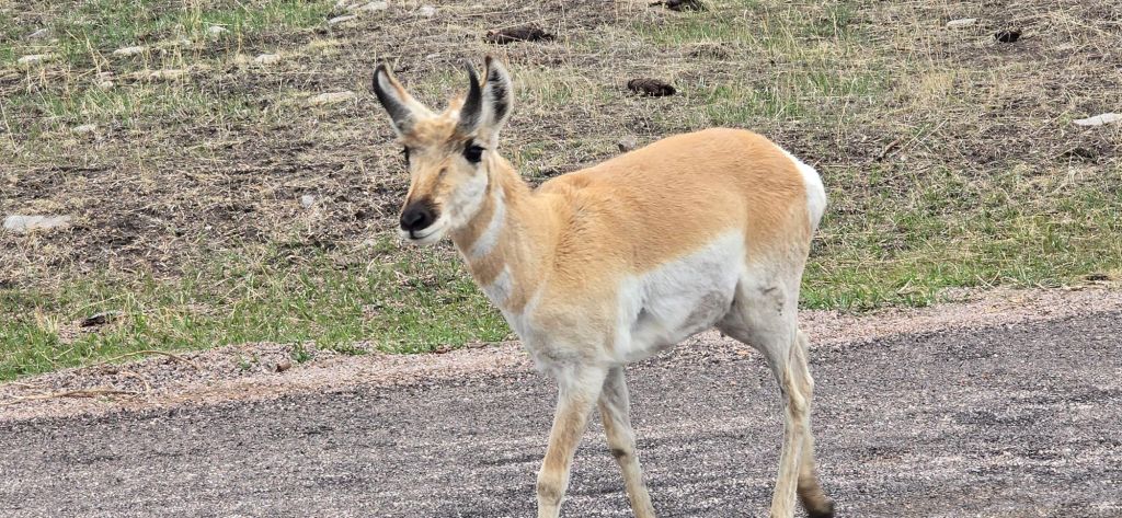 20250425_1714013722497703345487635