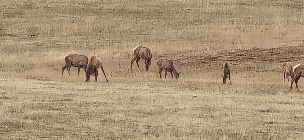 20250425_1726114098704279858738945