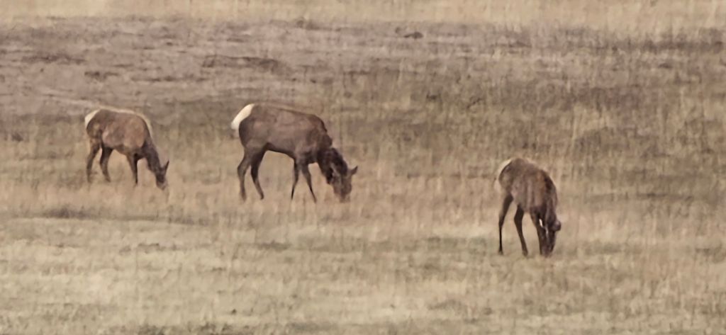 20250425_1727378453116748203402555