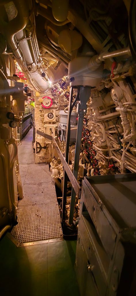 20250427_1511056679999283206289312